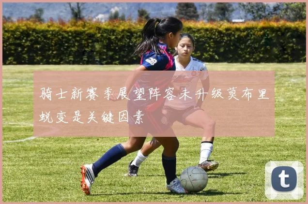 骑士新赛季展望阵容未升级莫布里蜕变是关键因素