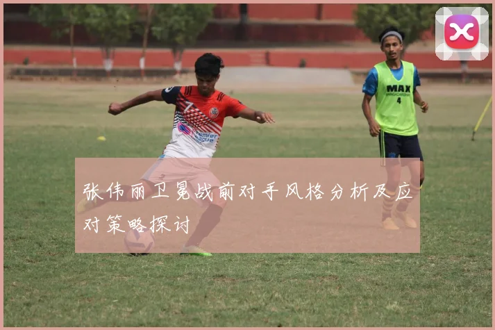 张伟丽卫冕战前对手风格分析及应对策略探讨